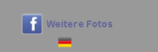 facebook-button